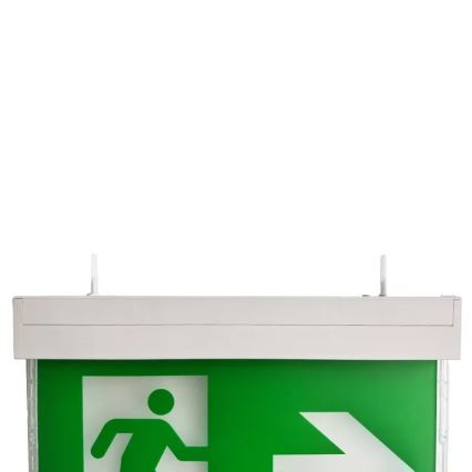 LED Emergency light LED/2W/230V 6000K