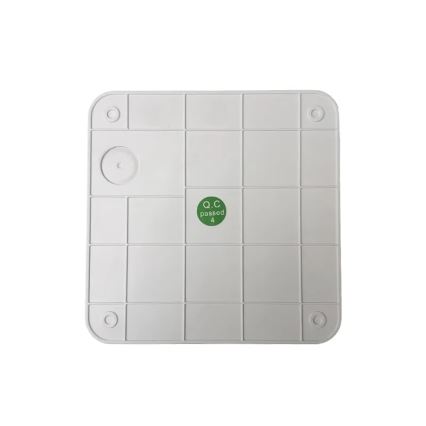 LED Emergency light LED/2W/230V IP65 6000K