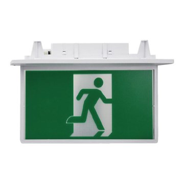 LED Emergency light LED/2W/240V 6000K