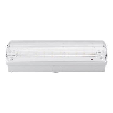 LED Emergency light LED/3W/240V 6000K IP65