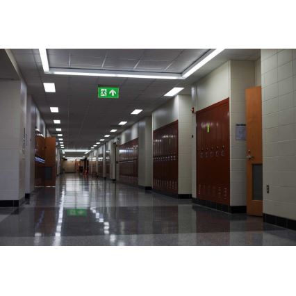 LED Emergency light LED/4,5W/230V 6500K
