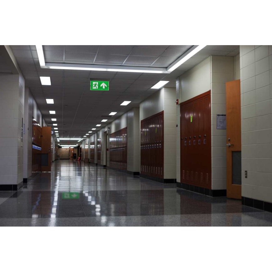 LED Emergency light LED/4,5W/230V 6500K