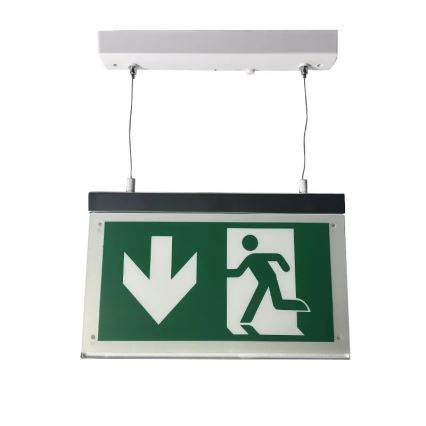 LED Emergency light LED/4W/230V 6000K