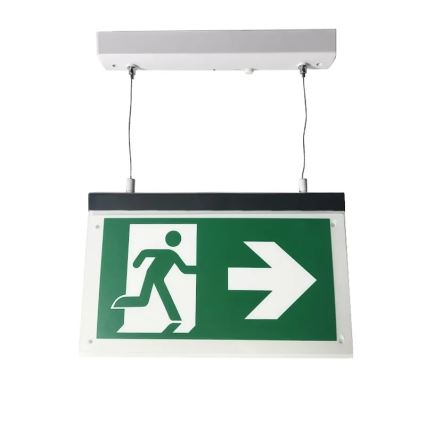LED Emergency light LED/4W/230V 6000K