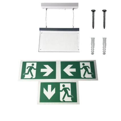 LED Emergency light LED/4W/230V 6000K