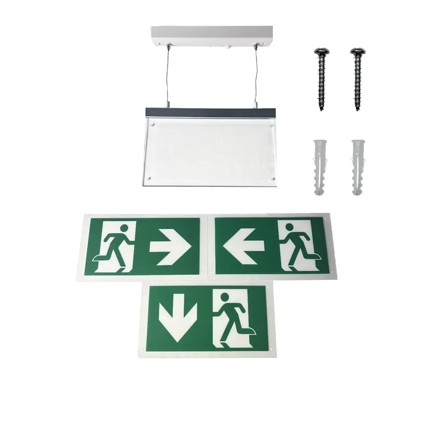 LED Emergency light LED/4W/230V 6000K