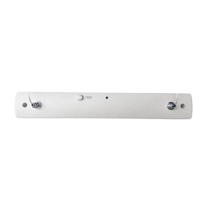 LED Emergency light LED/4W/230V 6000K
