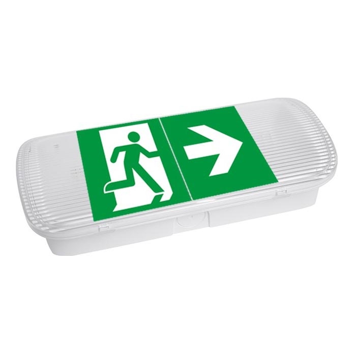 LED Emergency light VIRGO EVO LED/1W/230V 6000K IP65