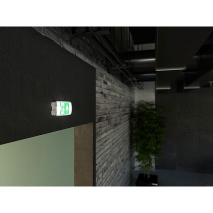 LED Emergency light VIRGO EVO LED/1W/230V 6000K IP65
