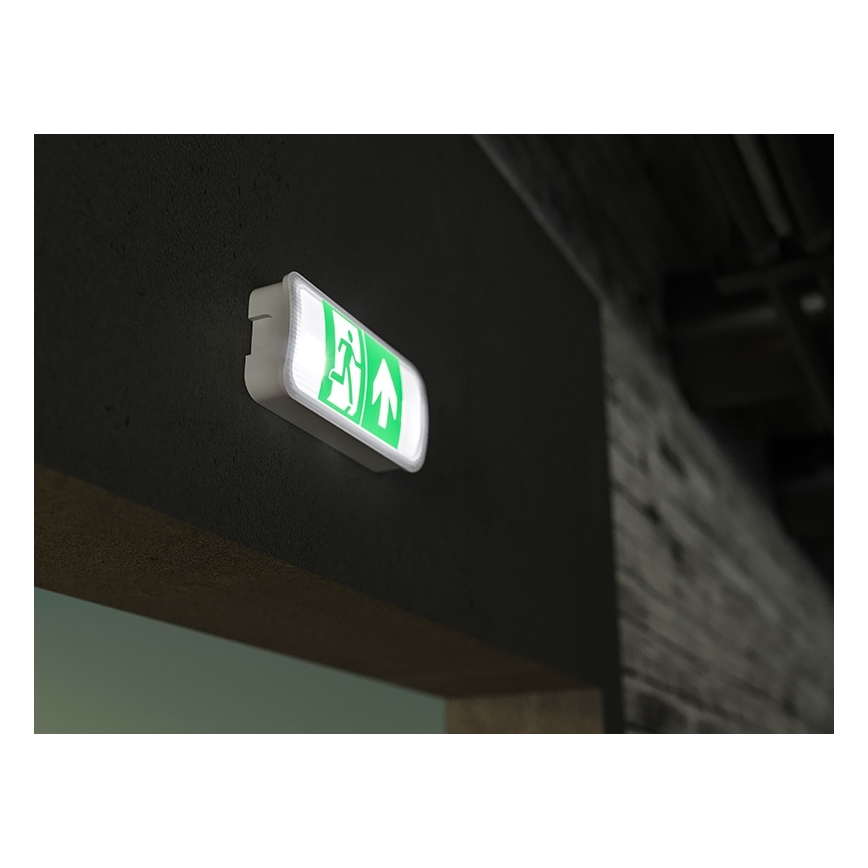 LED Emergency light VIRGO EVO LED/1W/230V 6000K IP65