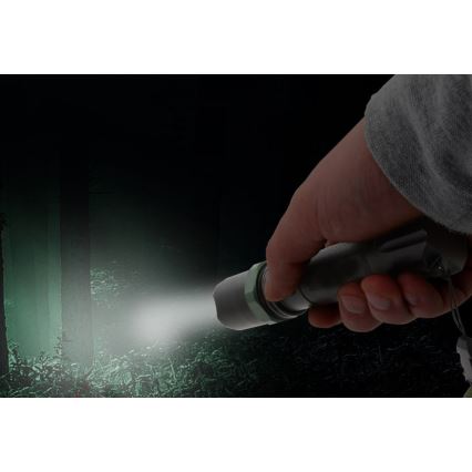 LED Flashlight LED/3W/3xAAA IP44 black