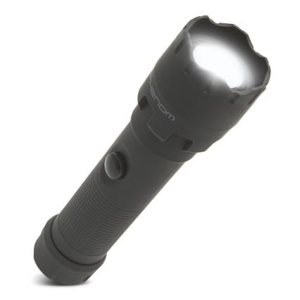 LED Flashlight LED/4xAAA IP54
