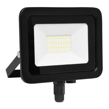 LED Flood light STAR LED/30W/230V IP65