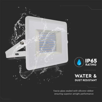 LED Floodlight LED/100W/230V 4000K IP65 white