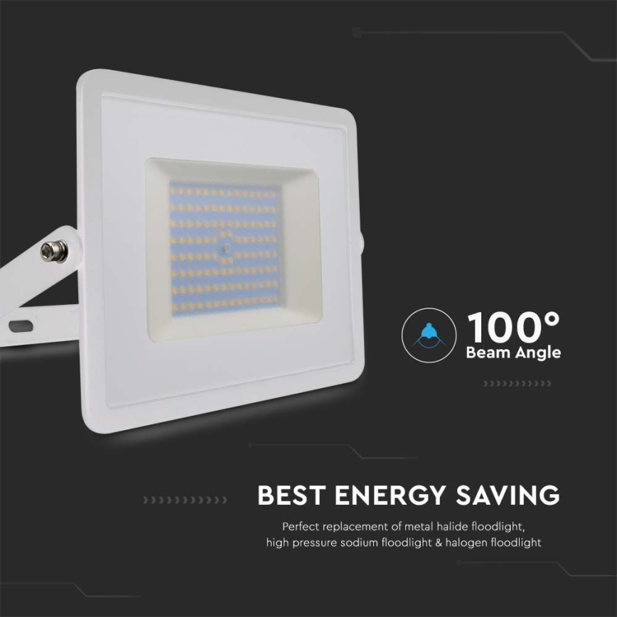 LED Floodlight LED/100W/230V 4000K IP65 white