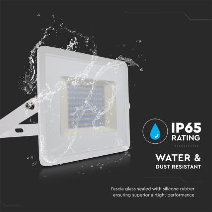 LED Floodlight LED/100W/230V 6500K IP65 white