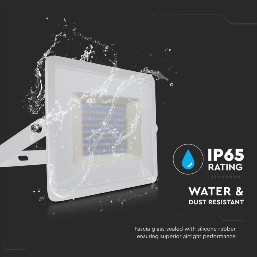 LED Floodlight LED/100W/230V 6500K IP65 white