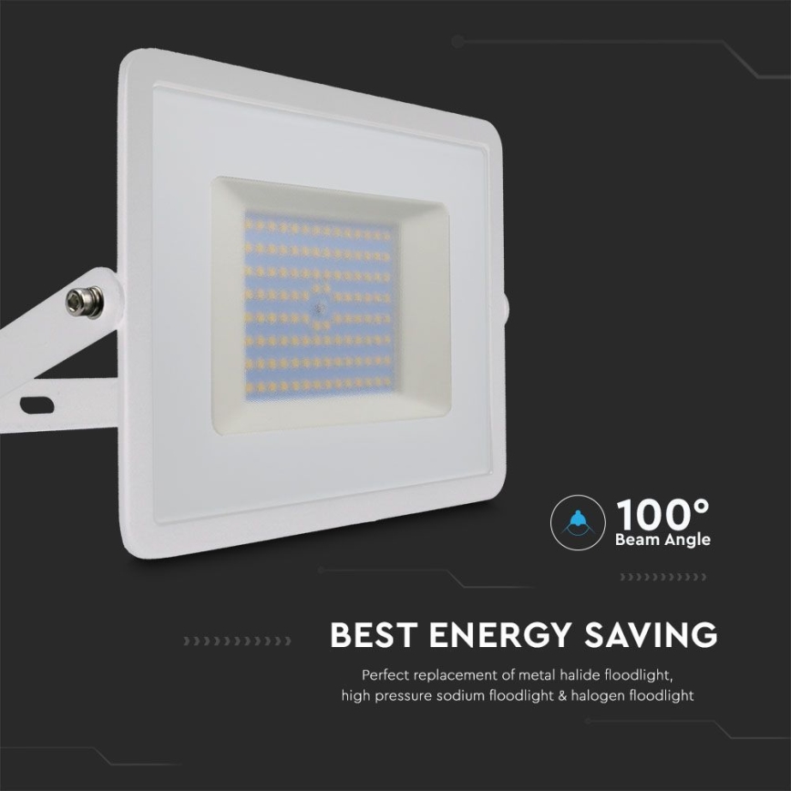 LED Floodlight LED/100W/230V 6500K IP65 white