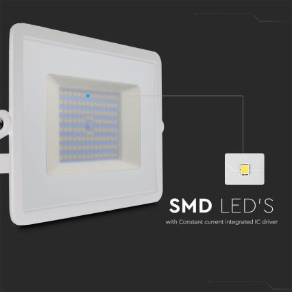 LED Floodlight LED/100W/230V 6500K IP65 white