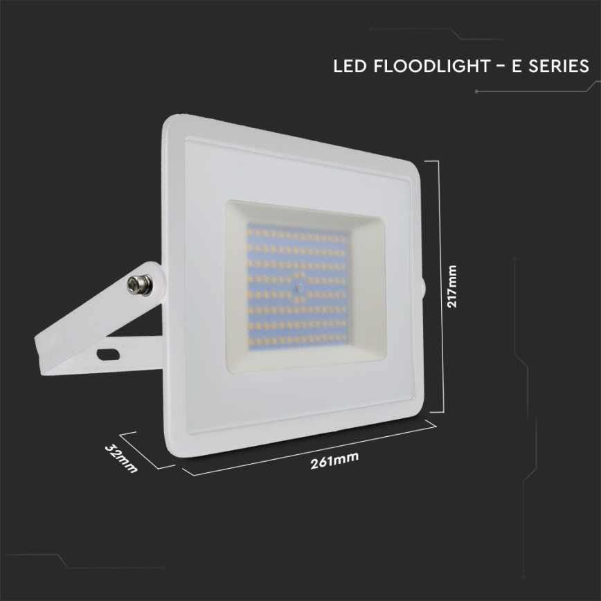 LED Floodlight LED/100W/230V 6500K IP65 white