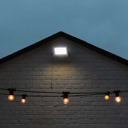 LED Floodlight LED/100W/230V IP65 3000/4000/6500K