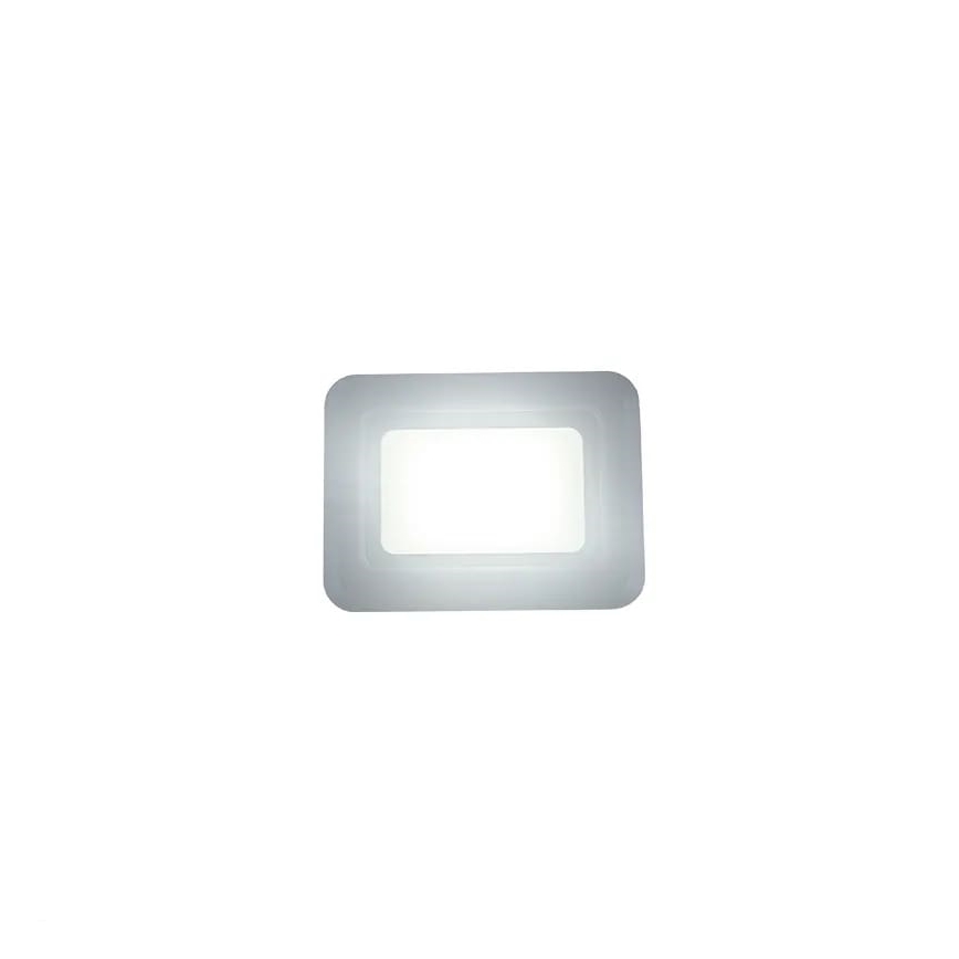 LED Floodlight LED/10W/230V 4000K IP65