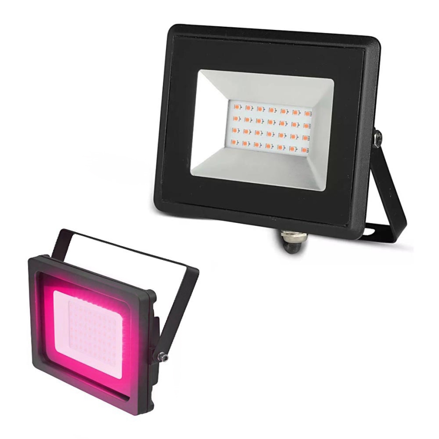 LED Floodlight LED/20W/230V IP65 pink light
