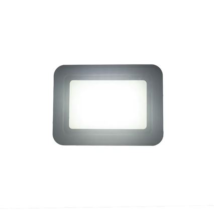 LED Floodlight LED/30W/230V 4000K IP65