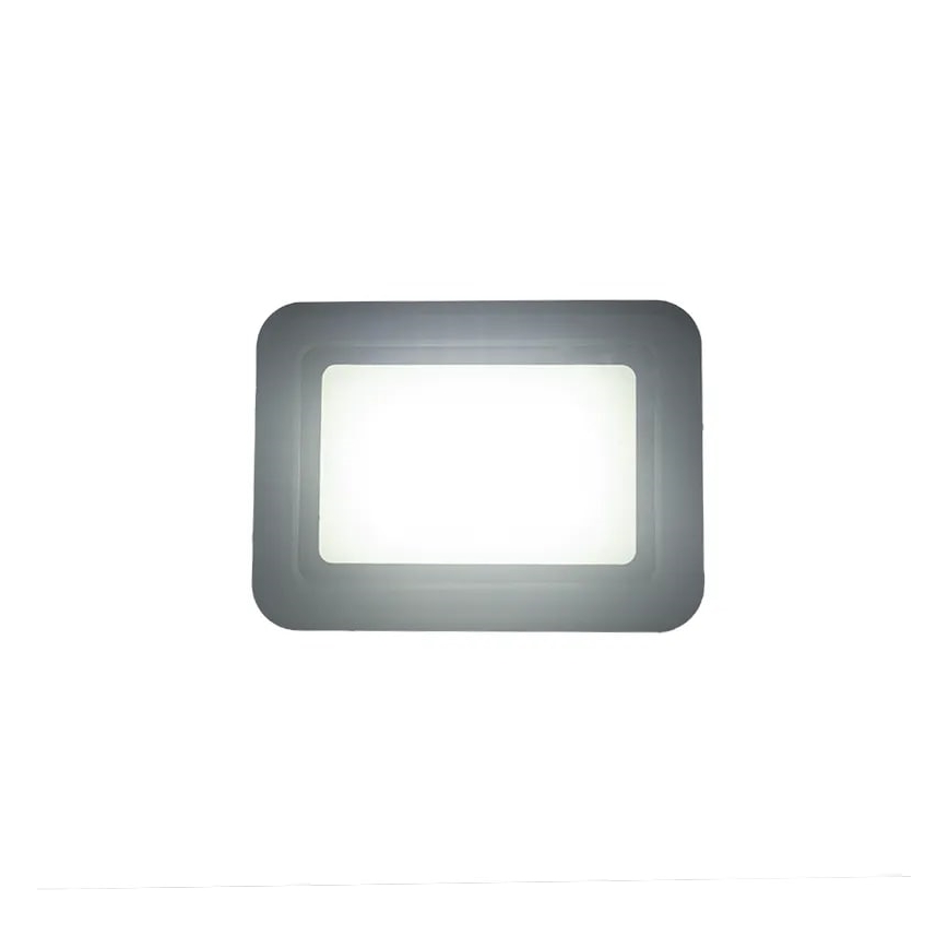 LED Floodlight LED/30W/230V 4000K IP65