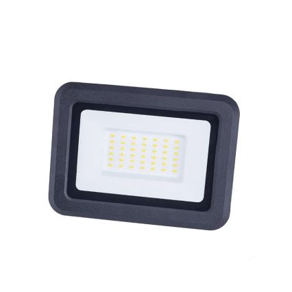 LED Floodlight LED/30W/230V 4000K IP65