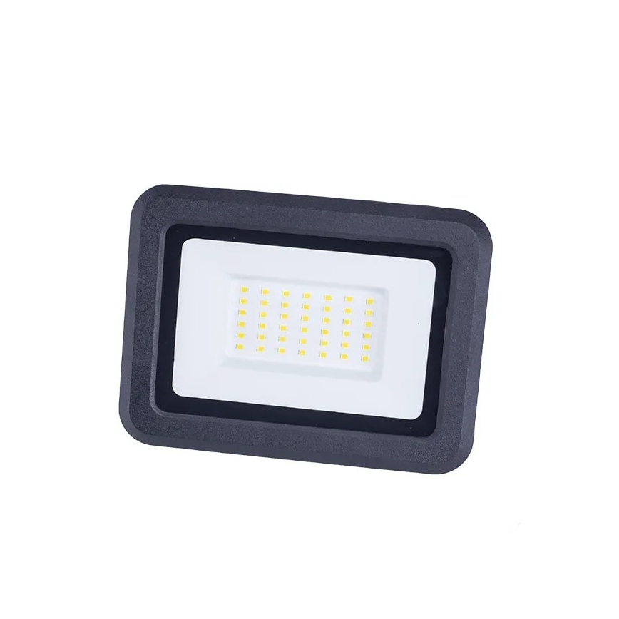 LED Floodlight LED/30W/230V 4000K IP65