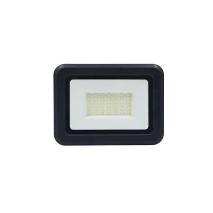 LED Floodlight LED/30W/230V 4000K IP65
