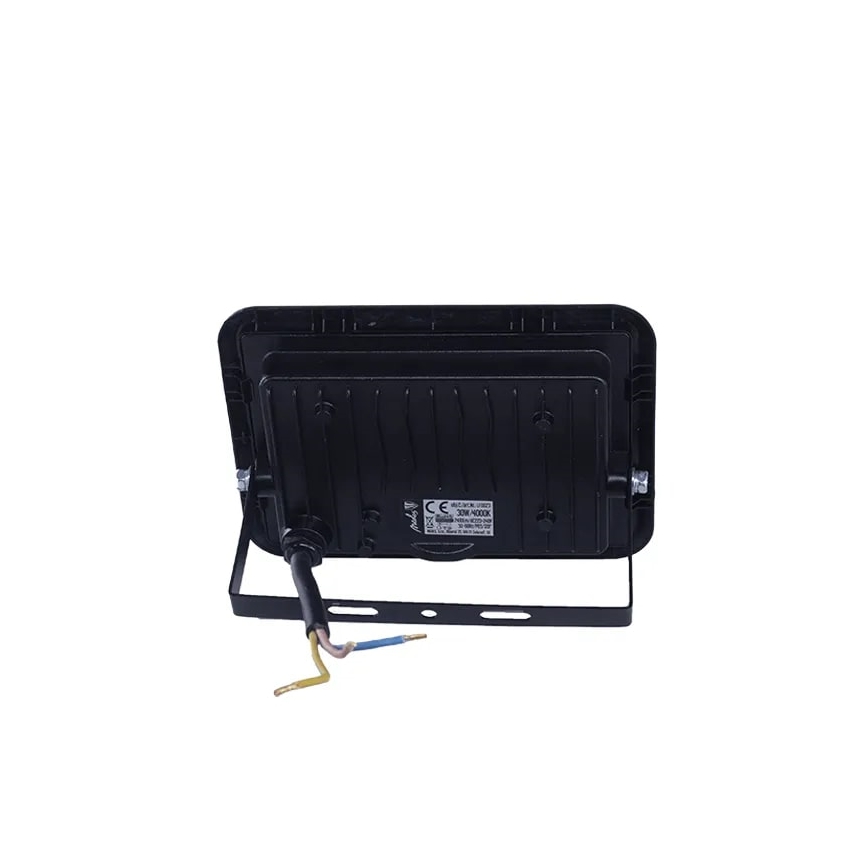 LED Floodlight LED/30W/230V 4000K IP65