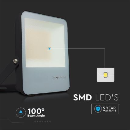 LED Floodlight LED/30W/230V 6400K IP65 black