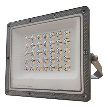 LED Floodlight LED/30W/230V IP65 3000/4000/6500K