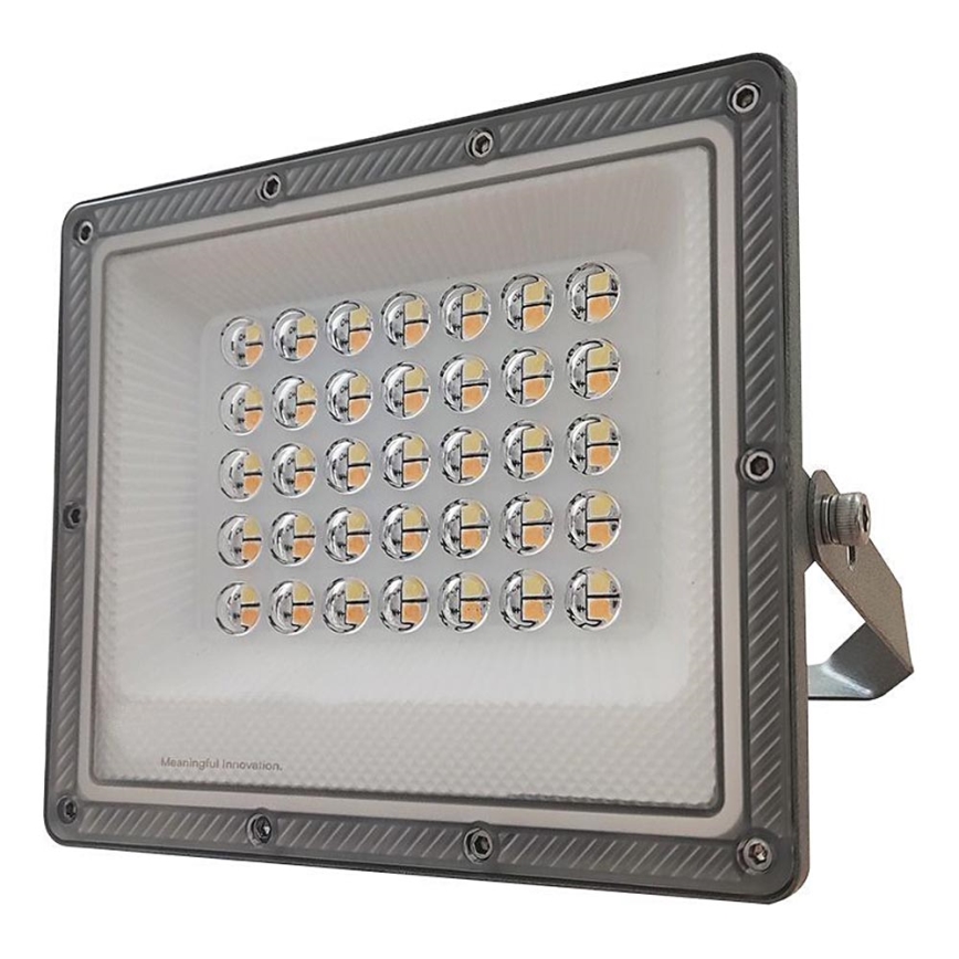 LED Floodlight LED/30W/230V IP65 3000/4000/6500K