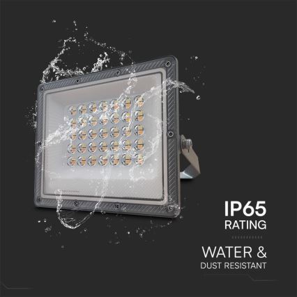 LED Floodlight LED/30W/230V IP65 3000/4000/6500K