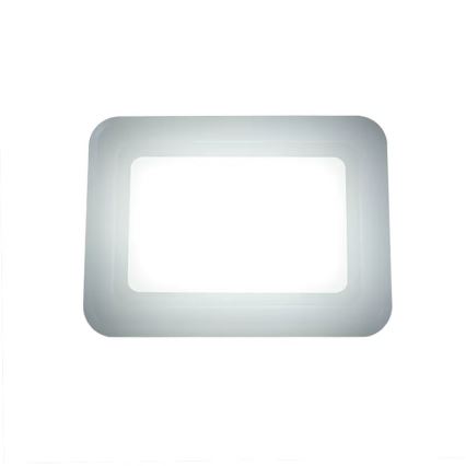 LED Floodlight LED/50W/230V 4000K IP65