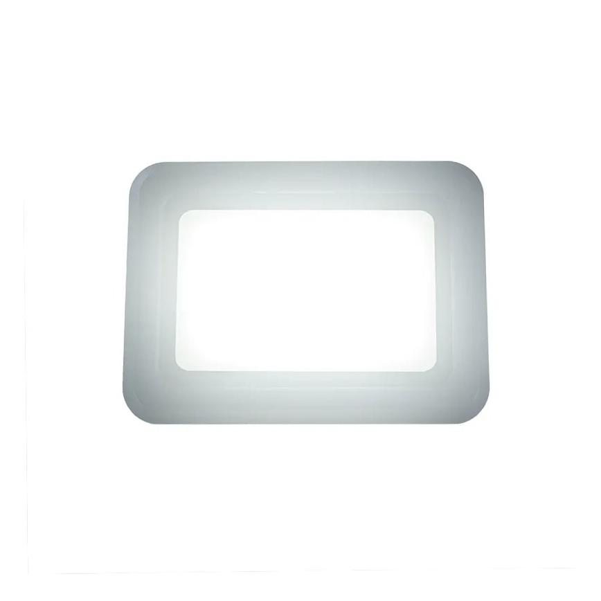 LED Floodlight LED/50W/230V 4000K IP65