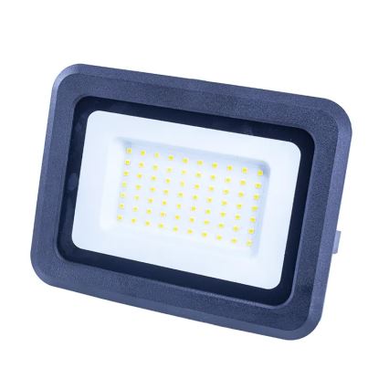 LED Floodlight LED/50W/230V 4000K IP65