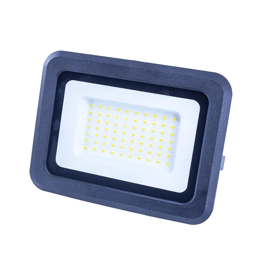 LED Floodlight LED/50W/230V 4000K IP65