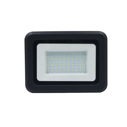 LED Floodlight LED/50W/230V 4000K IP65