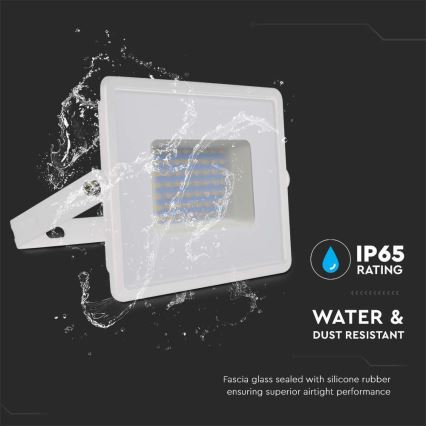 LED Floodlight LED/50W/230V 6500K IP65 white
