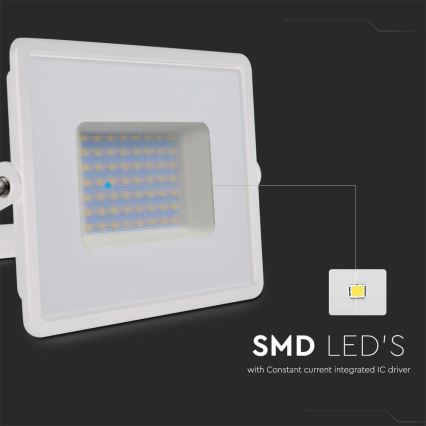 LED Floodlight LED/50W/230V 6500K IP65 white