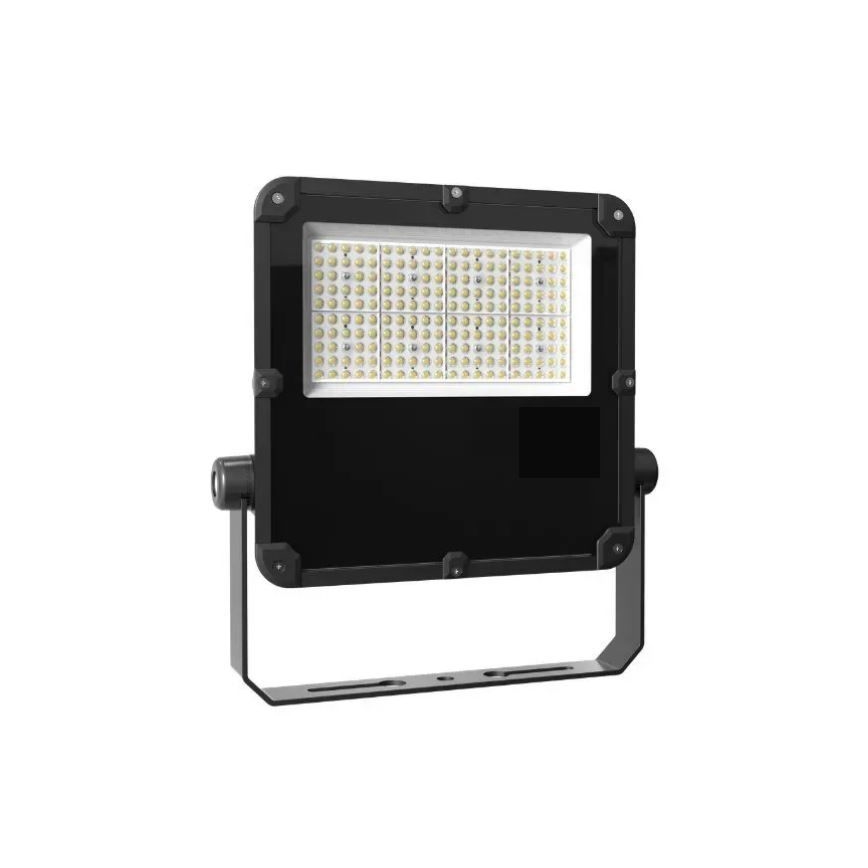 LED Floodlight PROFI PLUS LED/100W/230V 5000K IP66