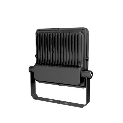 LED Floodlight PROFI PLUS LED/100W/230V 5000K IP66