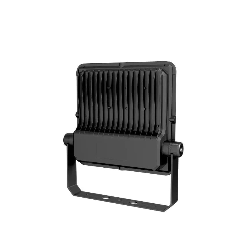 LED Floodlight PROFI PLUS LED/100W/230V 5000K IP66