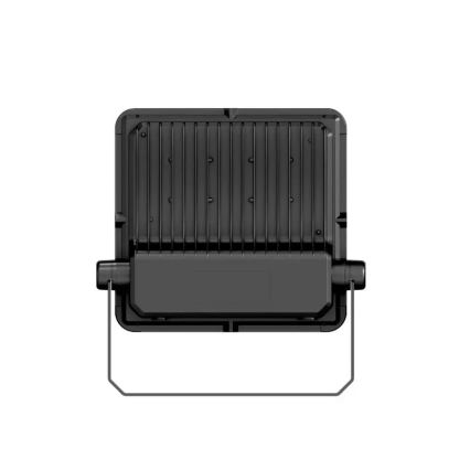 LED Floodlight PROFI PLUS LED/100W/230V 5000K IP66