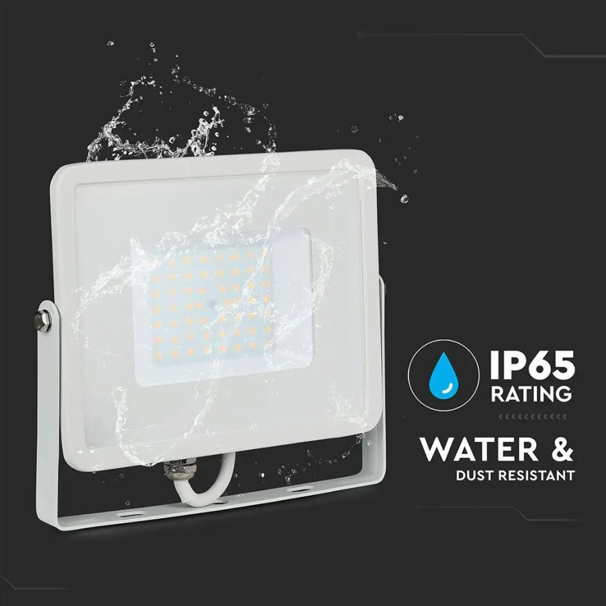 LED Floodlight SAMSUNG CHIP LED/50W/230V 6500K IP65 white