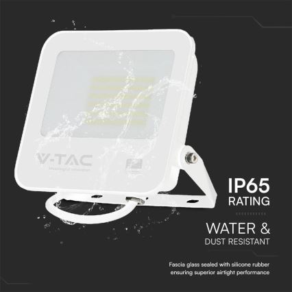 LED Floodlight SAMSUNG CHIP LED/50W/230V 6500K IP65 white